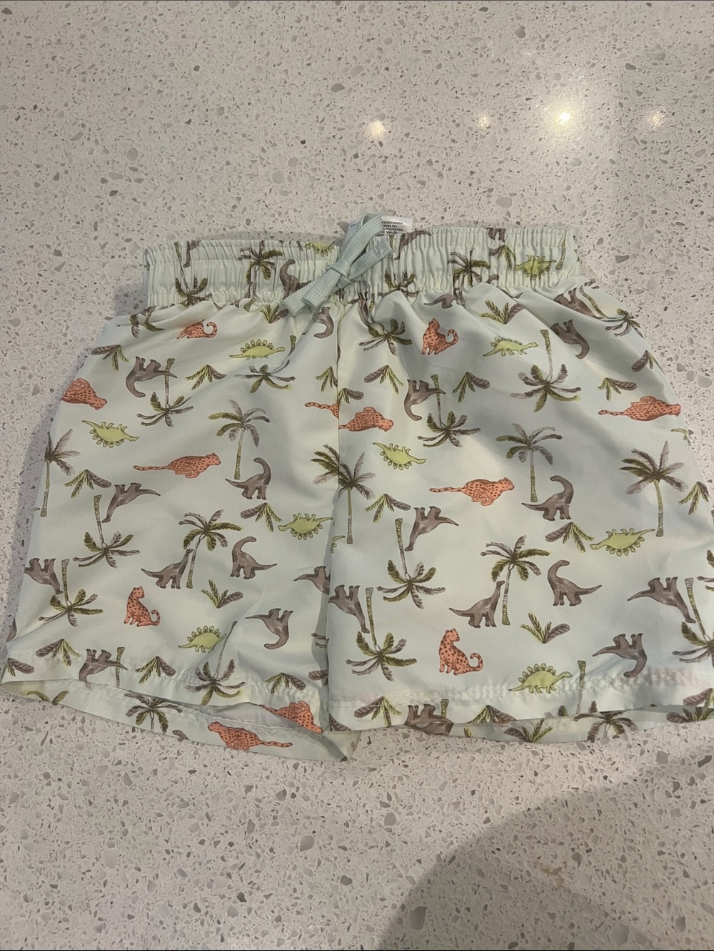 H&M Light Mint Swim Trunks with Dino & Palm Print